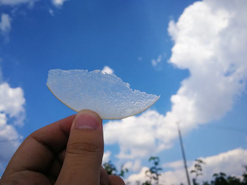 【梨】山东精品秋月梨烟台产地直发皮薄多汁全国发货