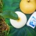 【梨】山东精品秋月梨烟台产地直发皮薄多汁全国发货