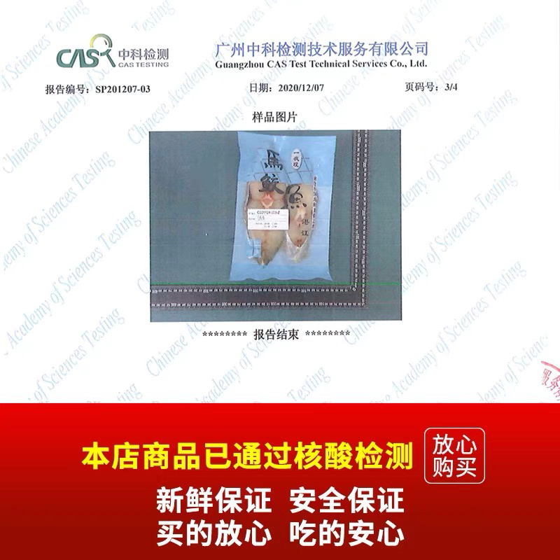湛江特产一夜埕淡盐整条无刺大马鲛鲅鱼片馅海鲜水产新鲜冷冻