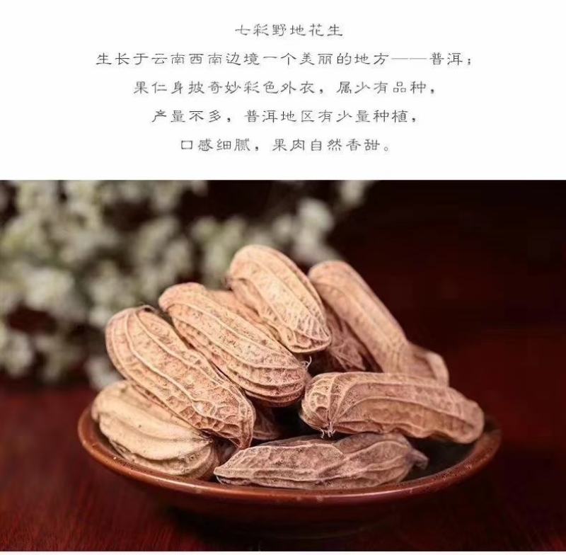 云南野地七彩花生