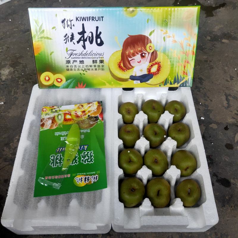 一件代发优质精品蒲江红心猕猴桃原产地果园直发