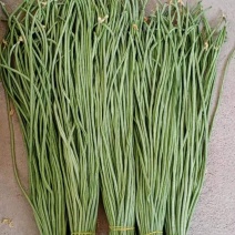 精品青长条豆角大量上市不老条，质量欢迎各位老板订购