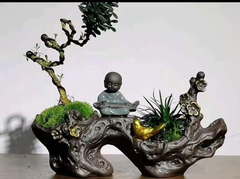 黄杨小叶皱皮雀舌造型黄杨迷你掌中宝盆景基地直销