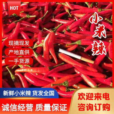 鲜辣椒香辣可口美味又营养适合发市场做批发！