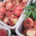 绿化九桃子