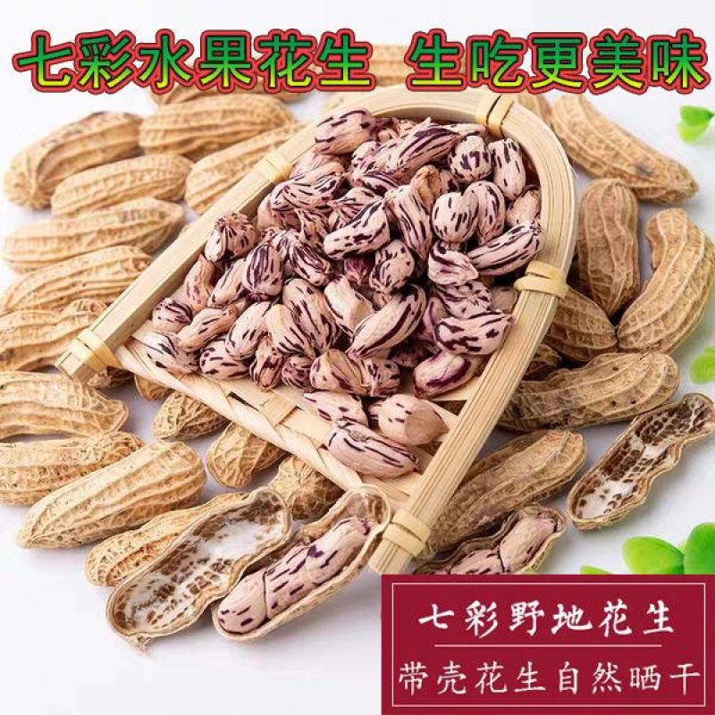 黑花生稀少黑花生富硒黑花生逢黑必补黑花生5斤装包邮