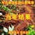野生双季红树莓苗覆盆子苗当年结果盆栽地栽东北耐寒果树苗木