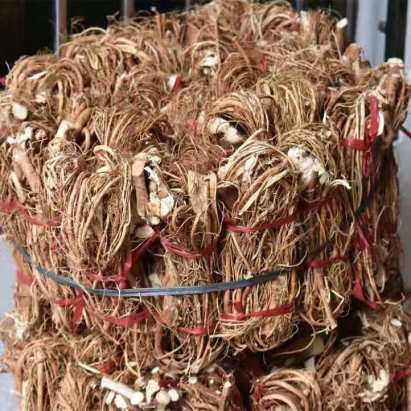 正宗五指毛桃一手货源直销24小时在线服务无忧