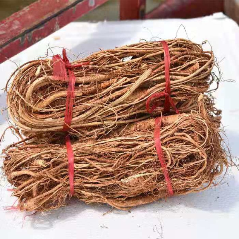 正宗五指毛桃一手货源直销24小时在线服务无忧