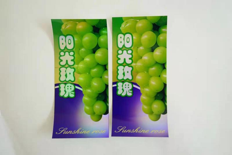 包装袋包装袋厂家镭射标扎丝防雾袋纸箱熟料框