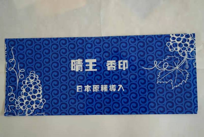 包装袋包装袋厂家镭射标扎丝防雾袋纸箱熟料框