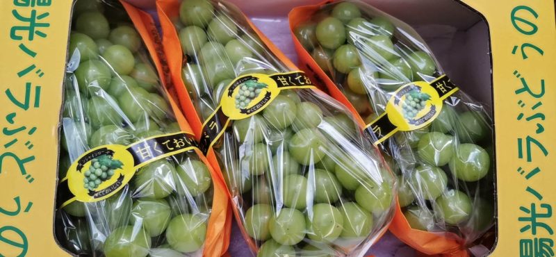 阳光玫瑰诚招客商电商采购团购商贩分销代理网红供应链