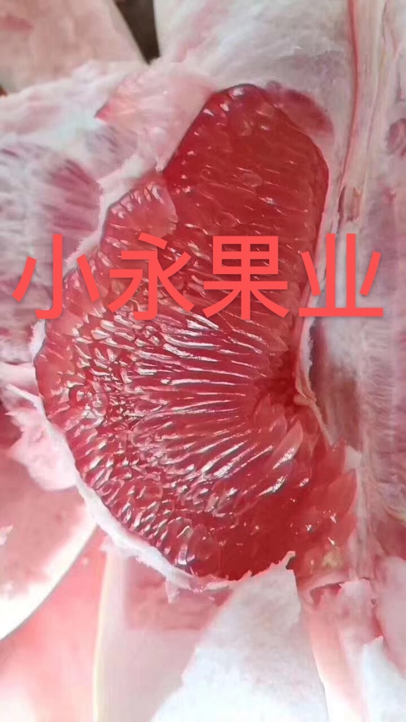 礼品箱两个装一箱5斤左右各种规格详情联系我
