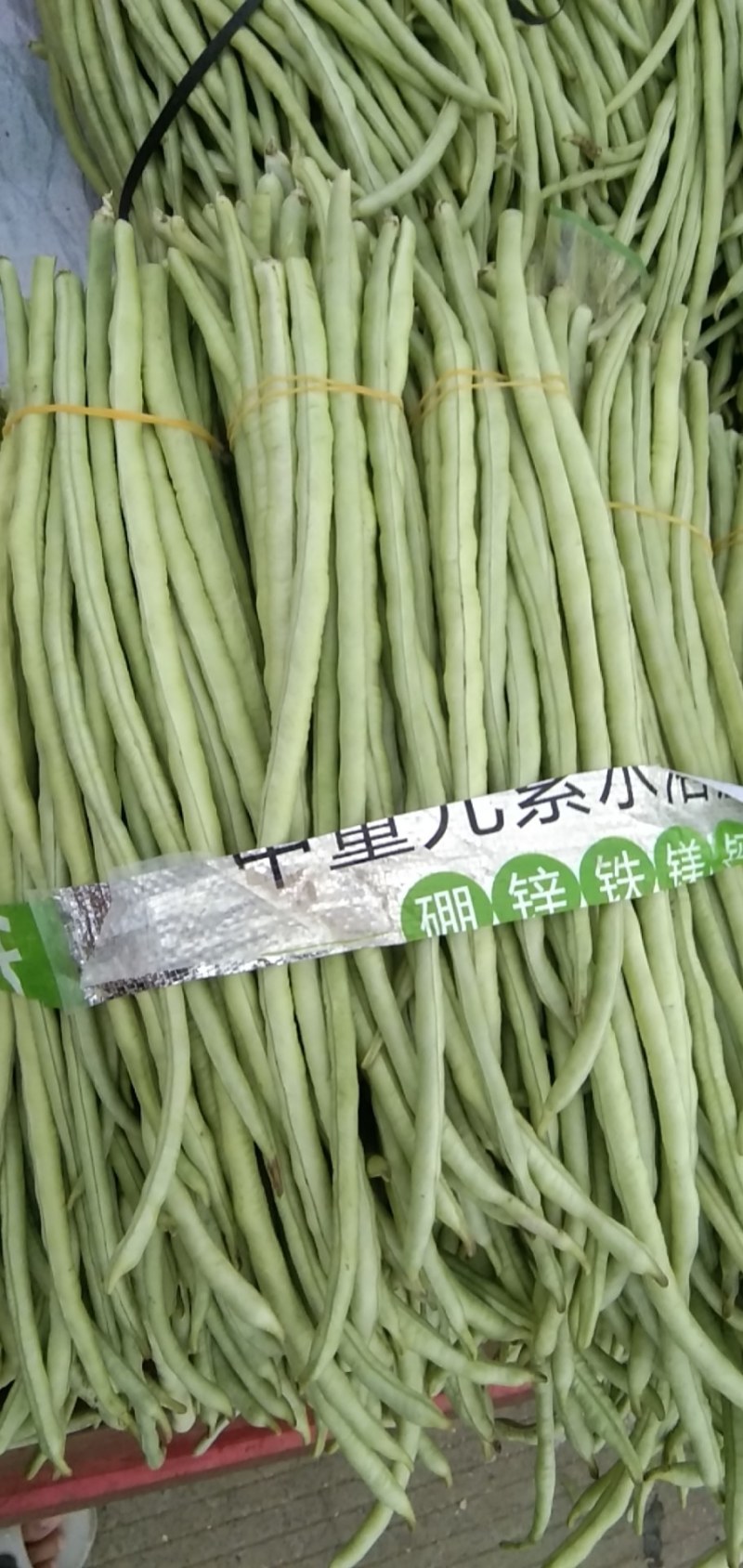 豆角，青豆角，大量上市，一手货源，本地A货。