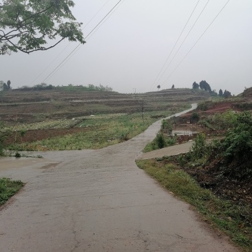 土地转让设施齐全有住房
