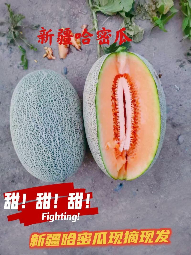 西周蜜
