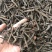 仙茅（产地直销，质量保证，含量高）