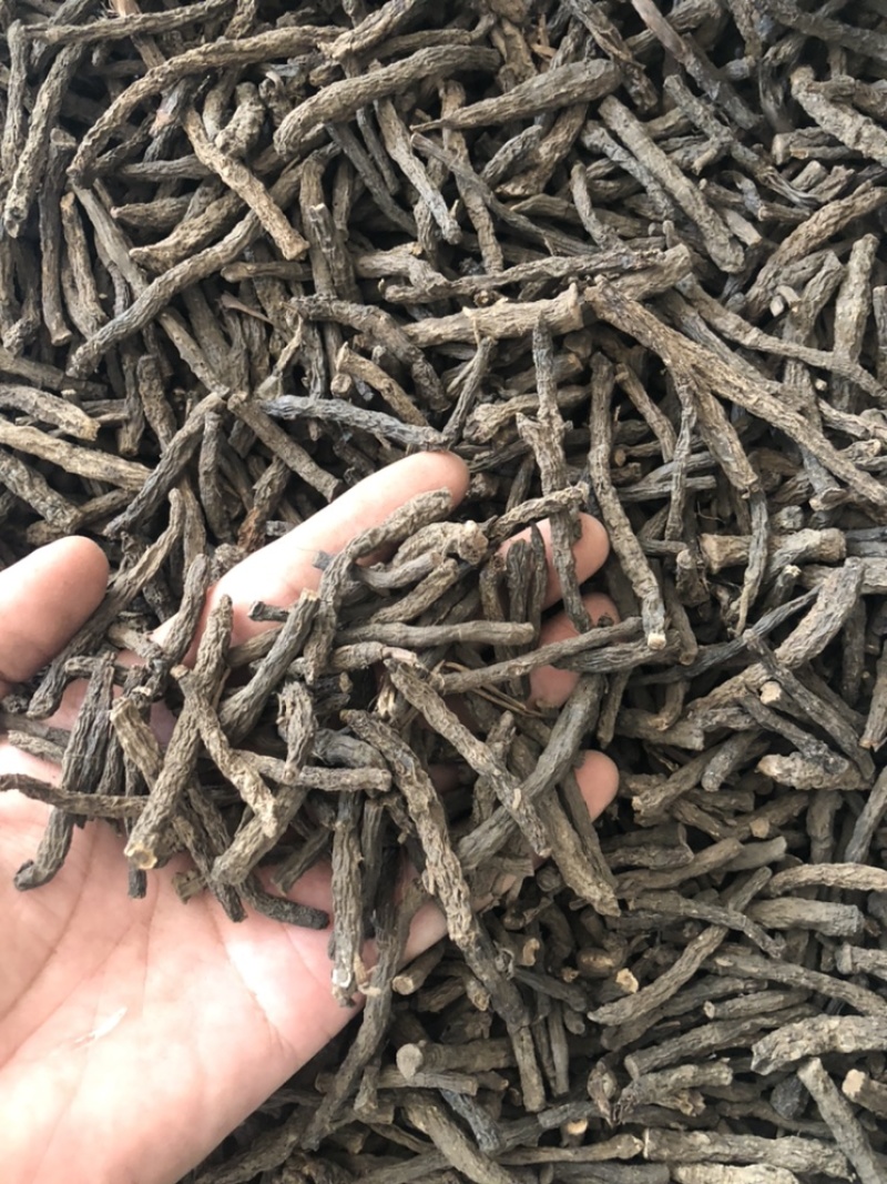 仙茅（产地直销，质量保证，含量高）