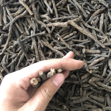 仙茅（产地直销，质量保证，含量高）