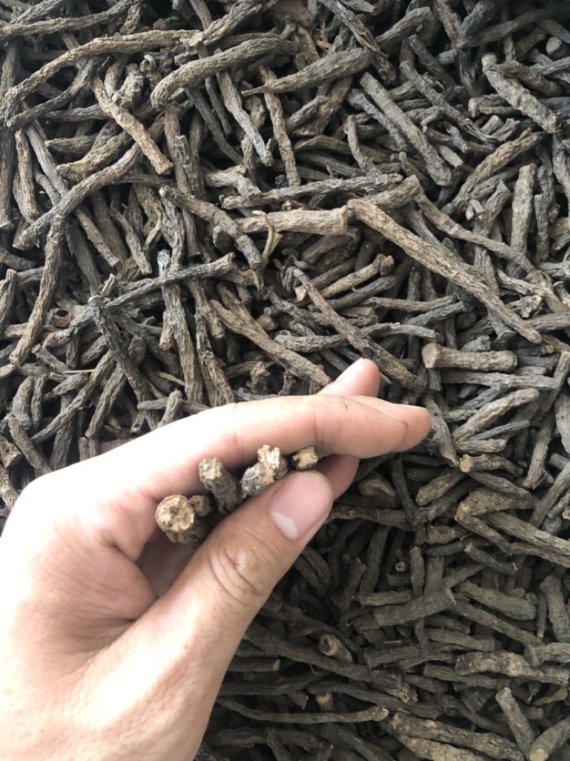 仙茅（产地直销，质量保证，含量高）