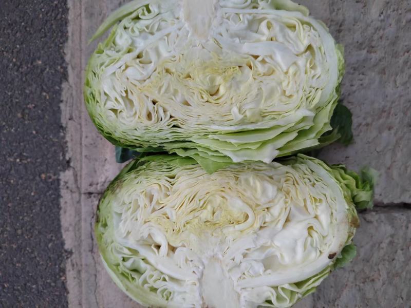 产地直发代办精品奥奇那需要的联系小黑哥，保质保量发货