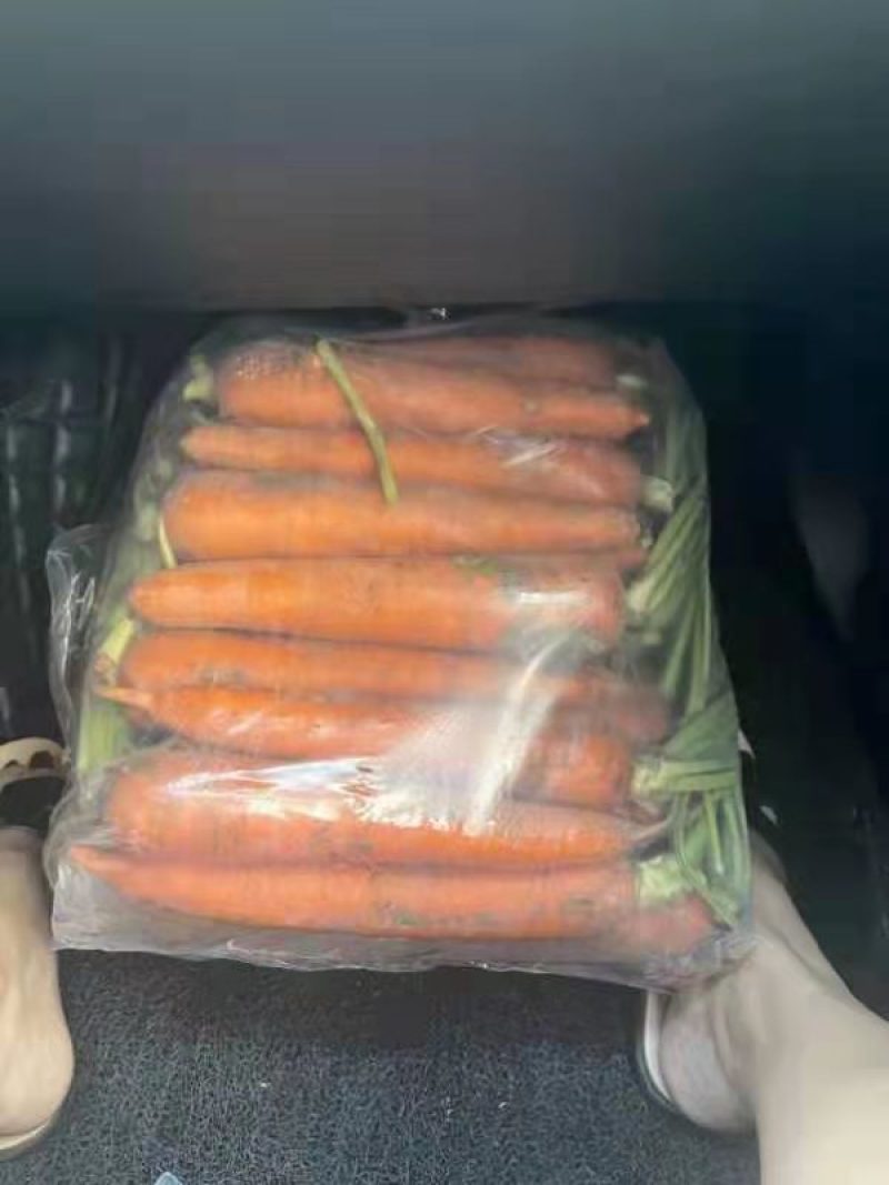 红萝卜大量现货供应各种规格产地直发一手货源欢迎咨询