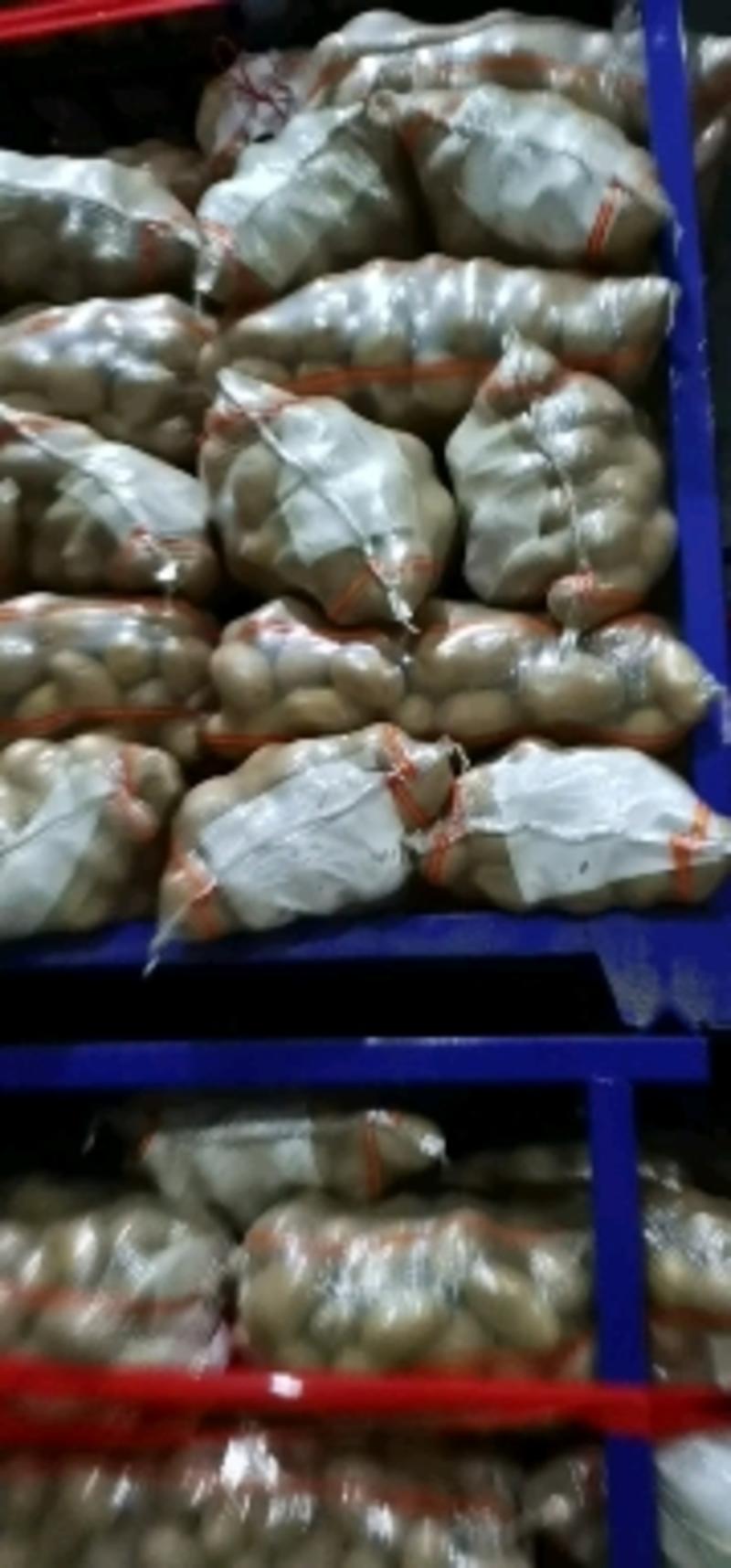 精品希森6号土豆黄皮黄心产地直发质量保证全国发货