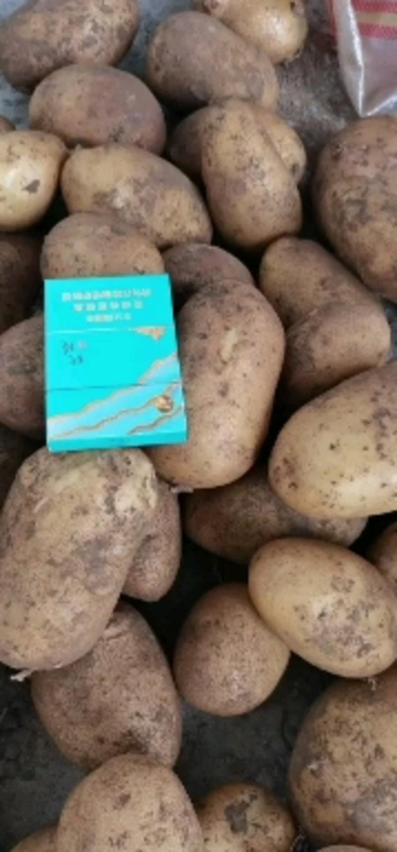 精品希森6号土豆黄皮黄心产地直发质量保证全国发货