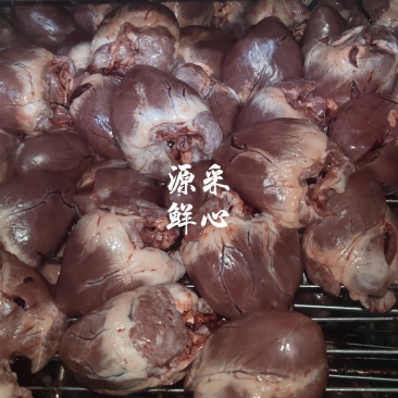 猪心