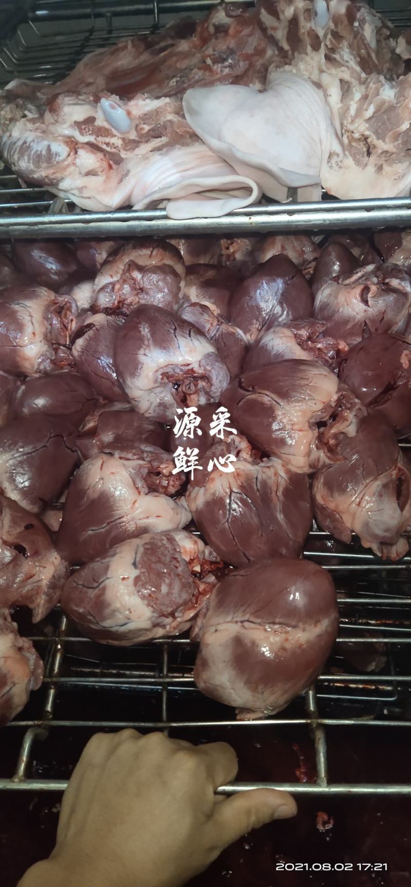 猪心