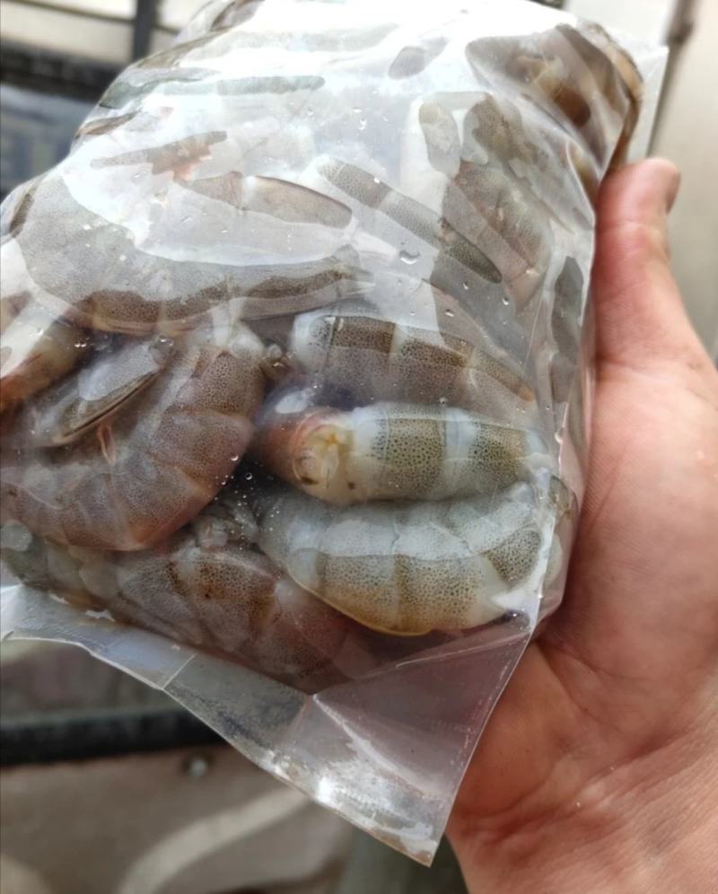 原浆虾仁虾段七彩神仙虎鱼龙鱼牛心汉堡虾拉宠物饲料