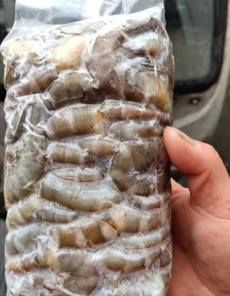 原浆虾仁虾段七彩神仙虎鱼龙鱼牛心汉堡虾拉宠物饲料