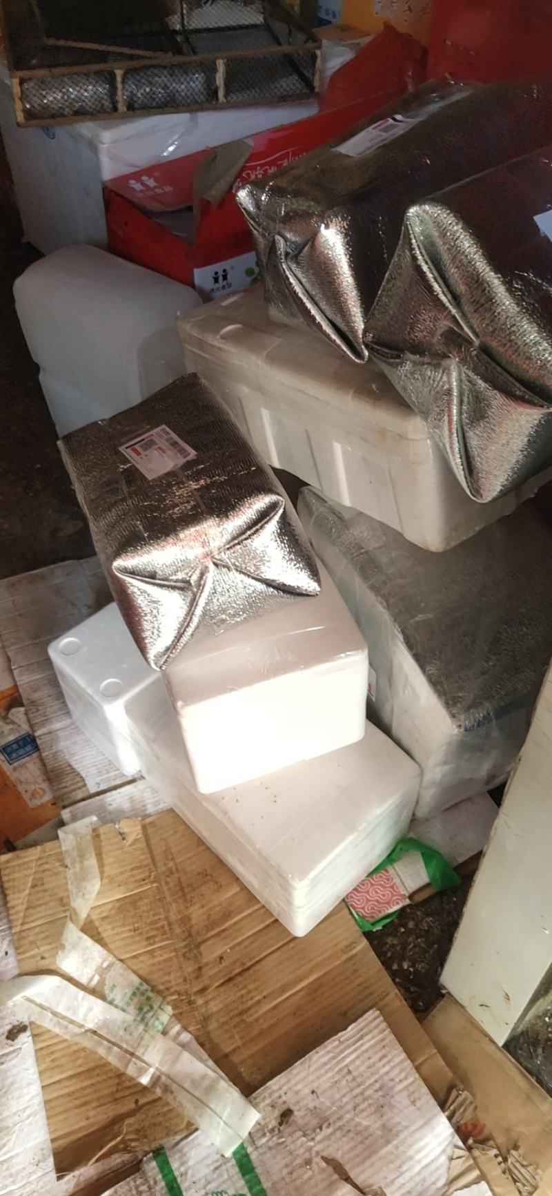原浆虾仁虾段七彩神仙虎鱼龙鱼牛心汉堡虾拉宠物饲料