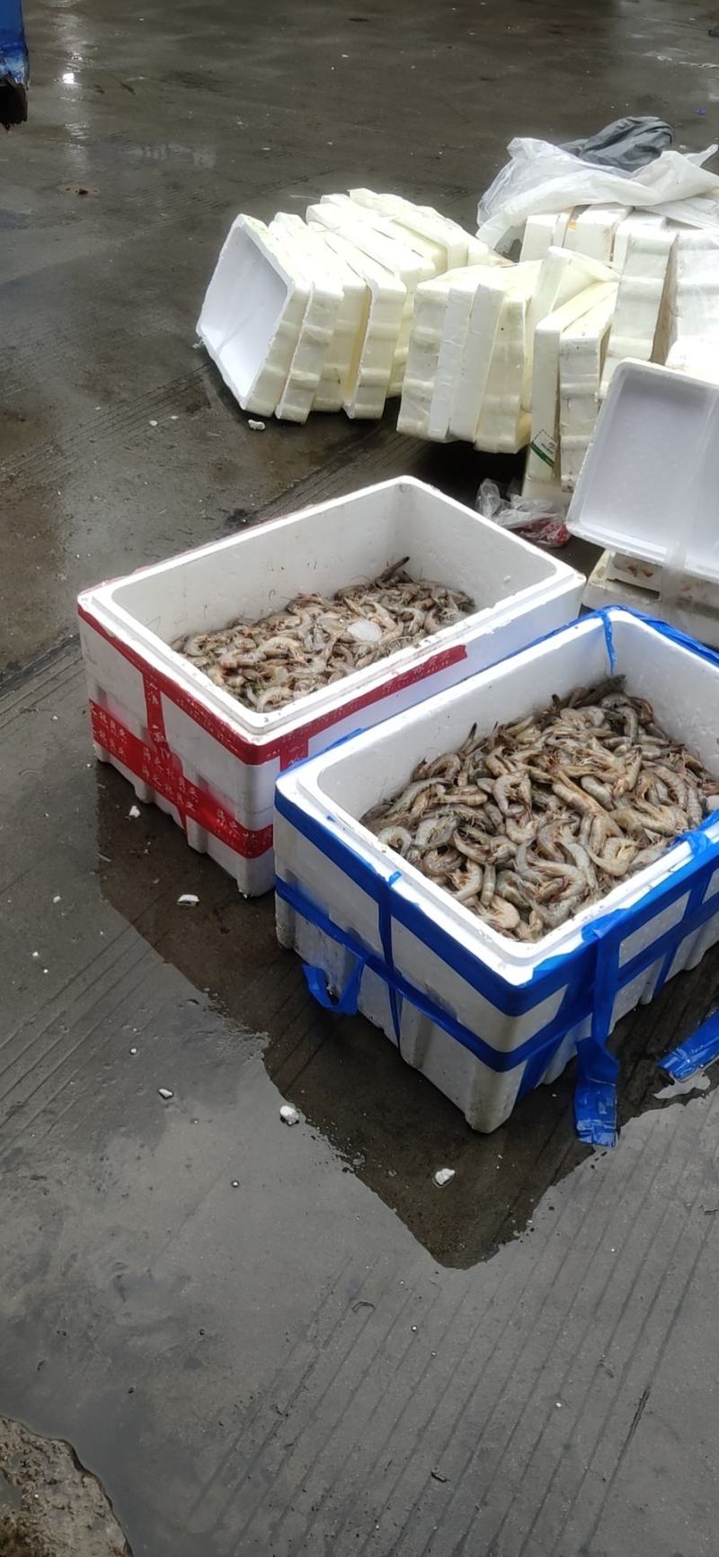 原浆虾仁虾段七彩神仙虎鱼龙鱼牛心汉堡虾拉宠物饲料