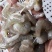 原浆虾仁虾段七彩神仙虎鱼龙鱼牛心汉堡虾拉宠物饲料