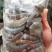 原浆虾仁虾段七彩神仙虎鱼龙鱼牛心汉堡虾拉宠物饲料