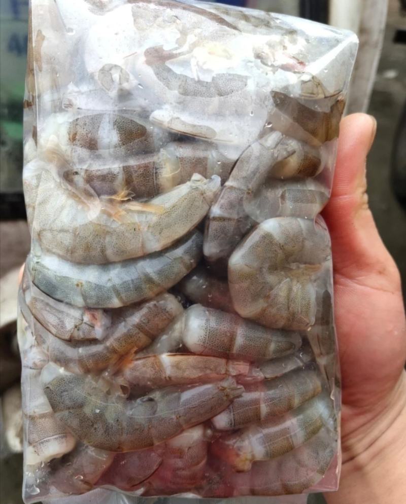 原浆虾仁虾段七彩神仙虎鱼龙鱼牛心汉堡虾拉宠物饲料