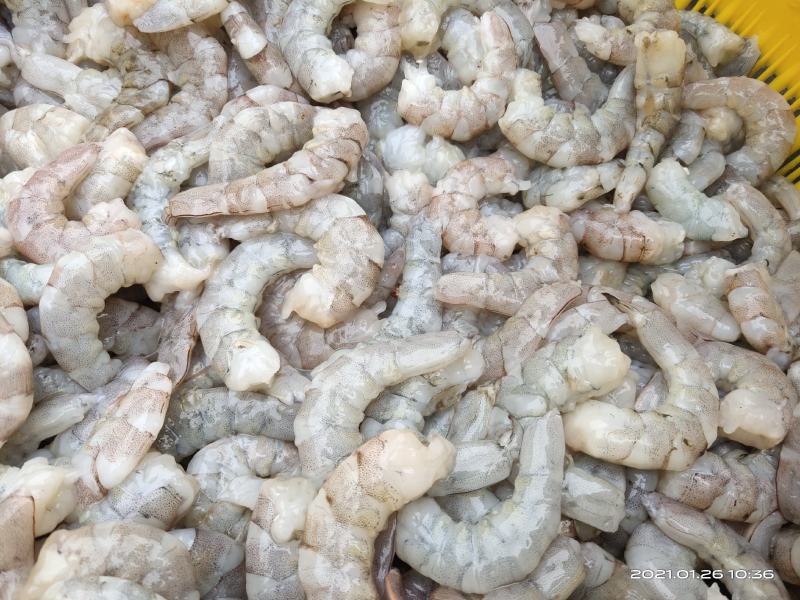 原浆虾仁虾段七彩神仙虎鱼龙鱼牛心汉堡虾拉宠物饲料