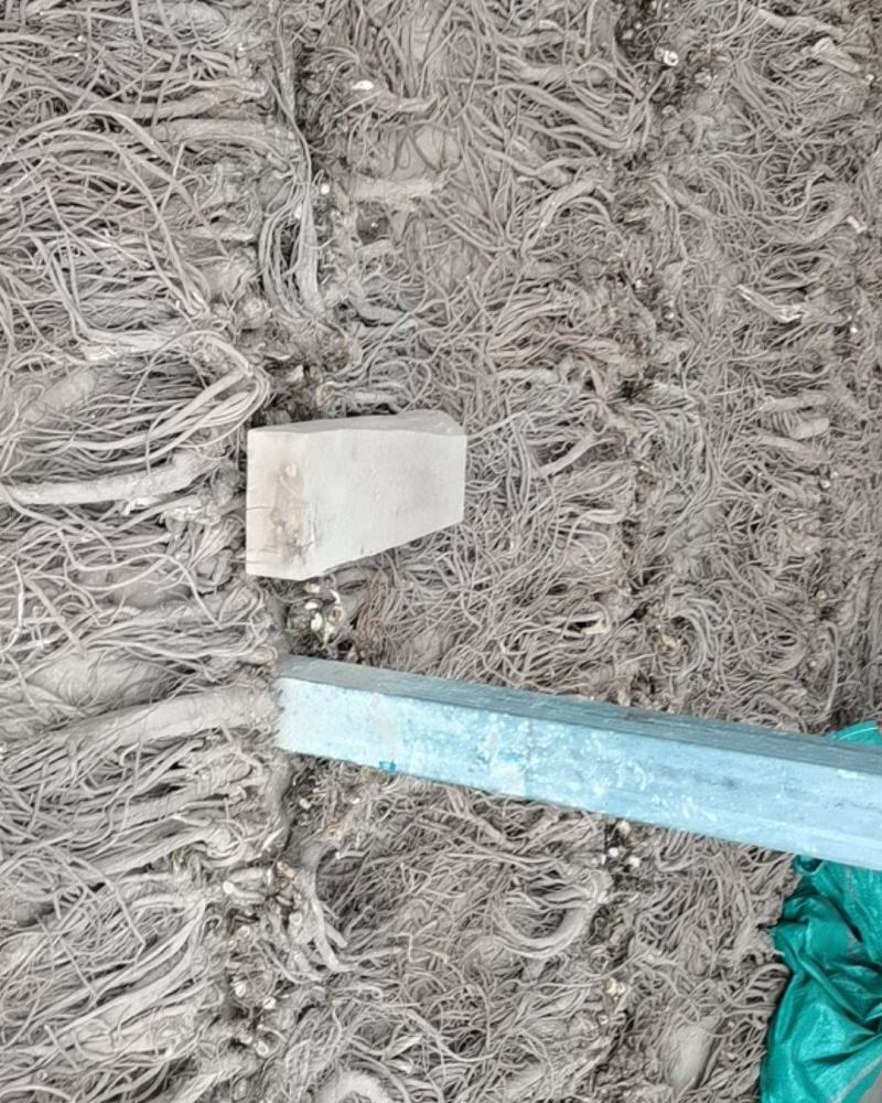 独活柴独来自甘肃千年药库产地源头供货自产自销