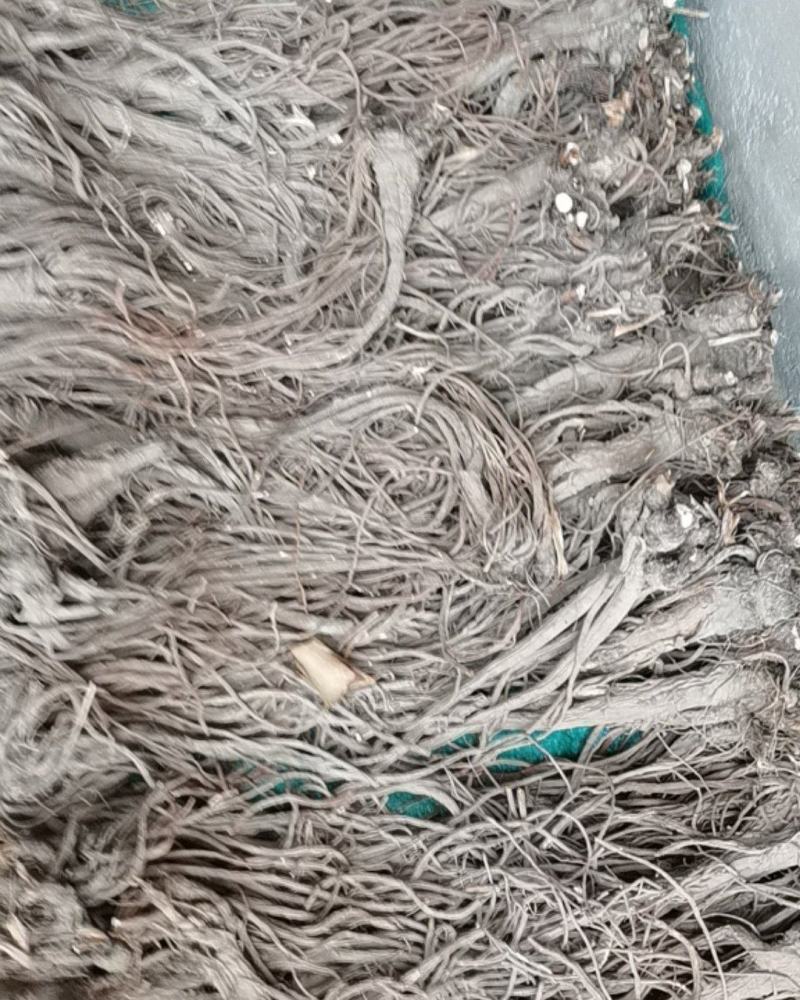 独活柴独来自甘肃千年药库产地源头供货自产自销