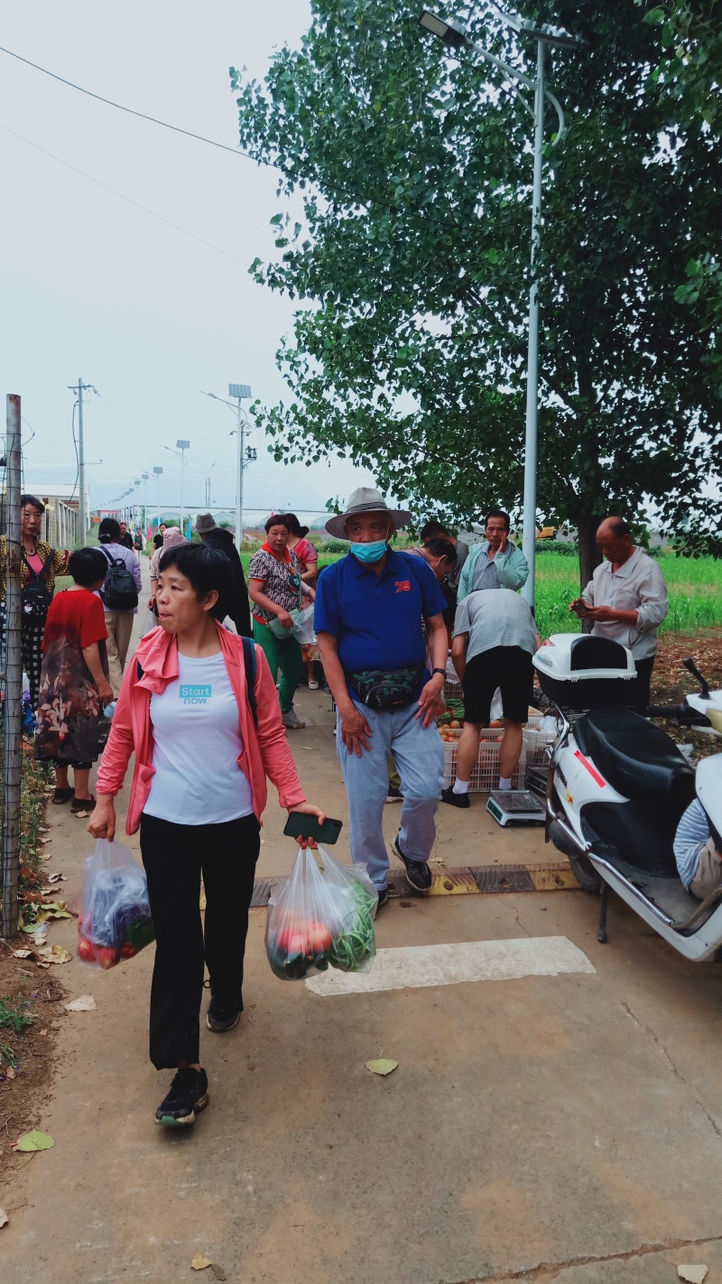 常年供应蔬菜水果，自营基地1500亩，可定植，可采摘。