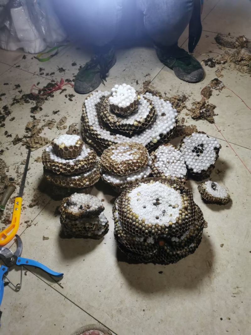 有老板看上的嘛，可以长期合作！