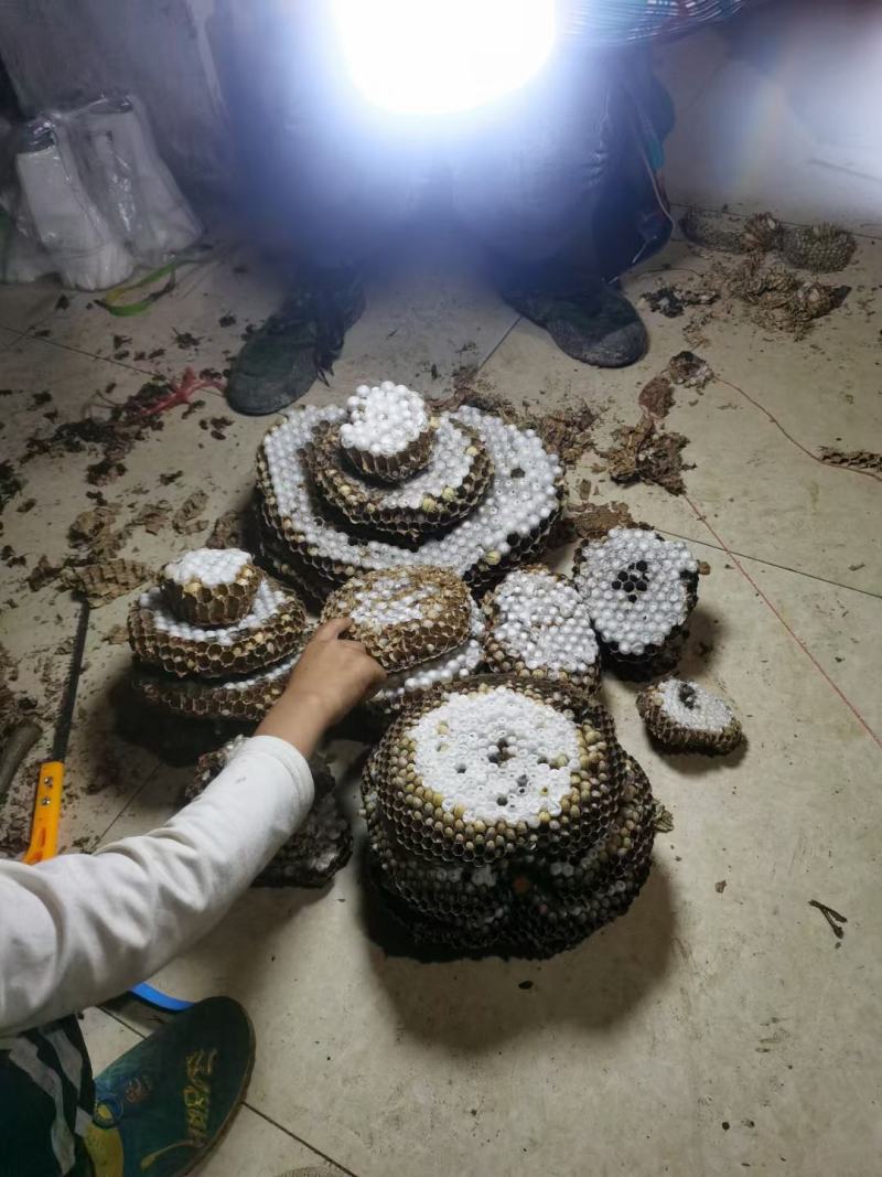 有老板看上的嘛，可以长期合作！