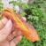 2022农家蒸薯•自制带皮小香薯（软软糯糯）