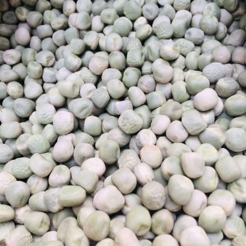 豌豆/干豌豆，颗粒饱满，大量现货价格便宜，需要的老板联系