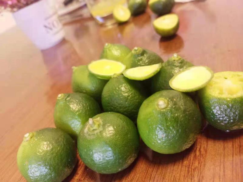 海南青金桔一级果，靓果，直供奶茶店，果园现摘现发