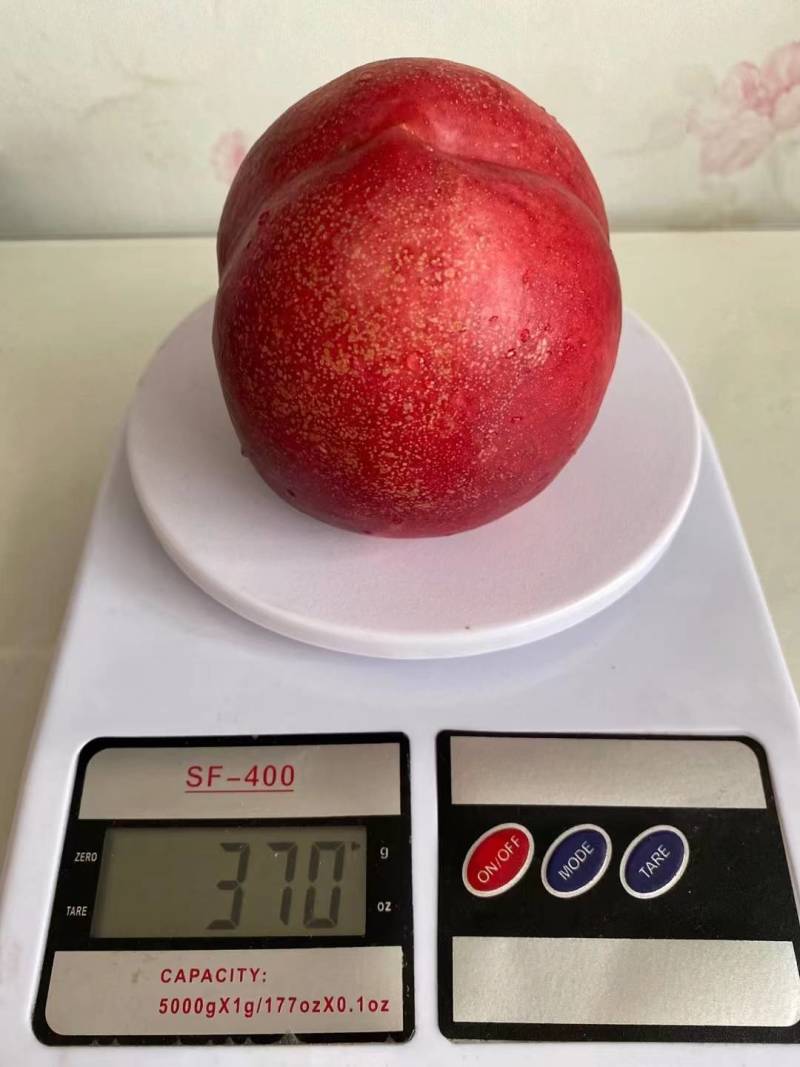 平谷大油桃，好吃看得见！需要联系我，保证质量，保回味无穷
