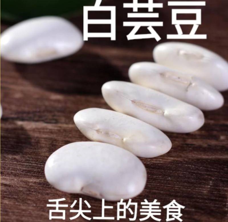 白芸豆特大颗粒白芸豆炖肉白芸豆五谷杂粮白芸豆5斤装包邮