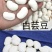 白芸豆特大颗粒白芸豆炖肉白芸豆五谷杂粮白芸豆5斤装包邮