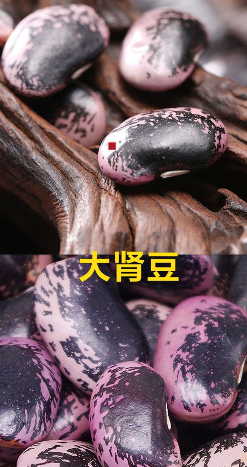 白芸豆特大颗粒白芸豆炖肉白芸豆五谷杂粮白芸豆5斤装包邮
